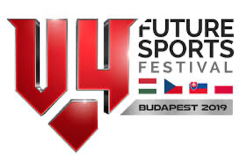 V4 Future Sports Festivals chatbot